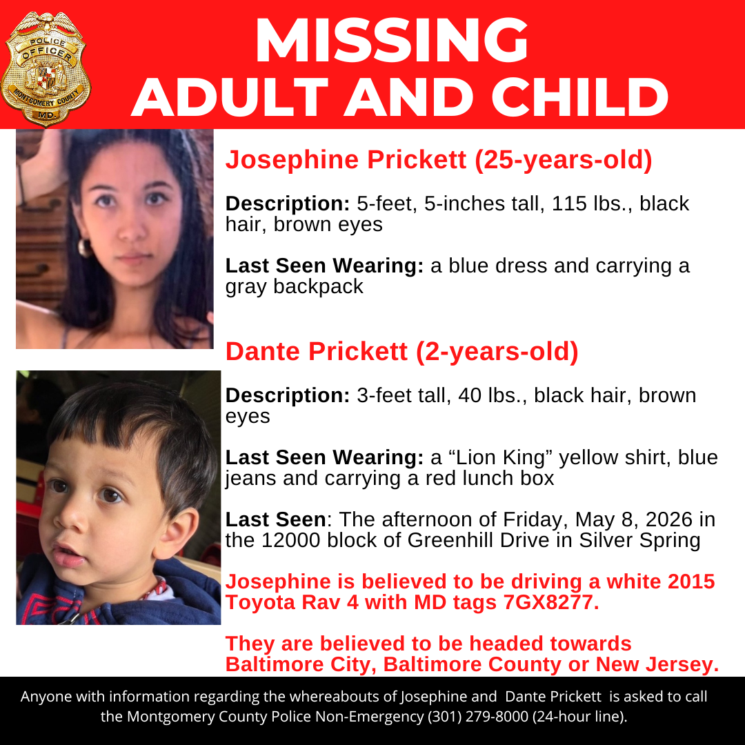 Missing Adult and Child Flyer