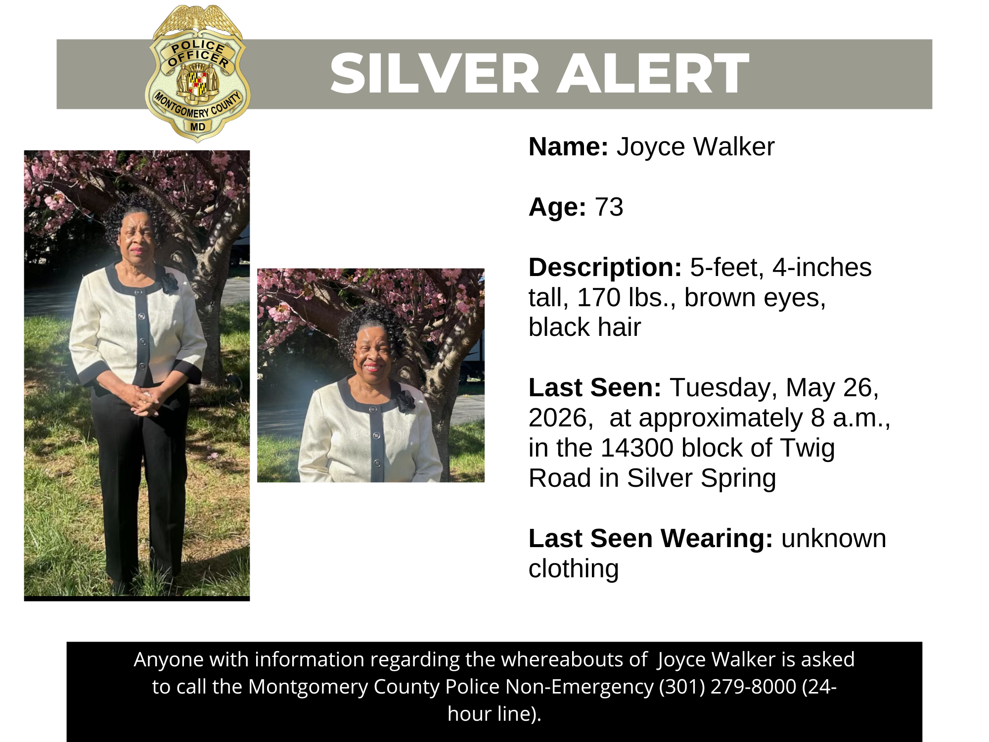 Silver Alert Missing Persons Flyer